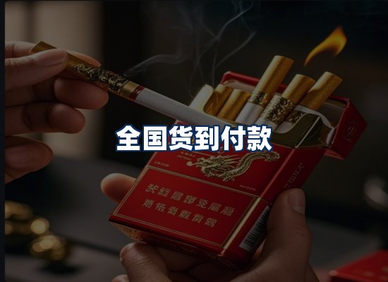 专业团队办公环境
